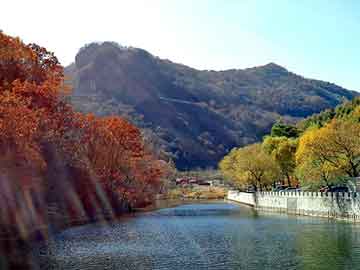 管家婆黑白马报图库，泡沫板材